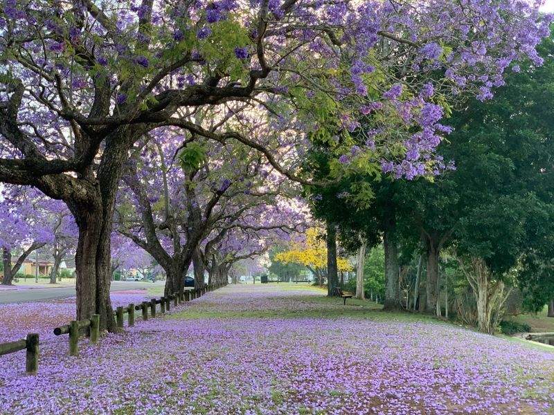 翠景庭園設計