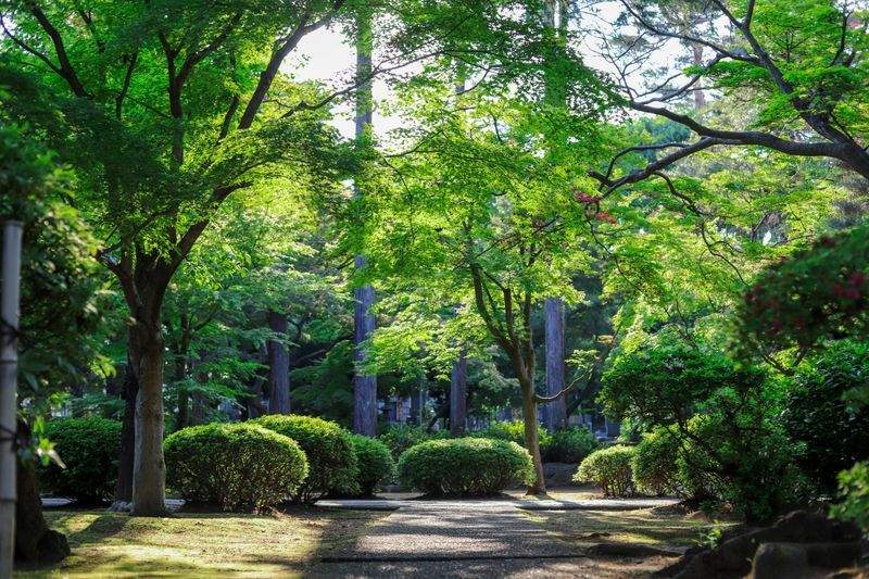 石組み・飛び石・灯籠の配置施工